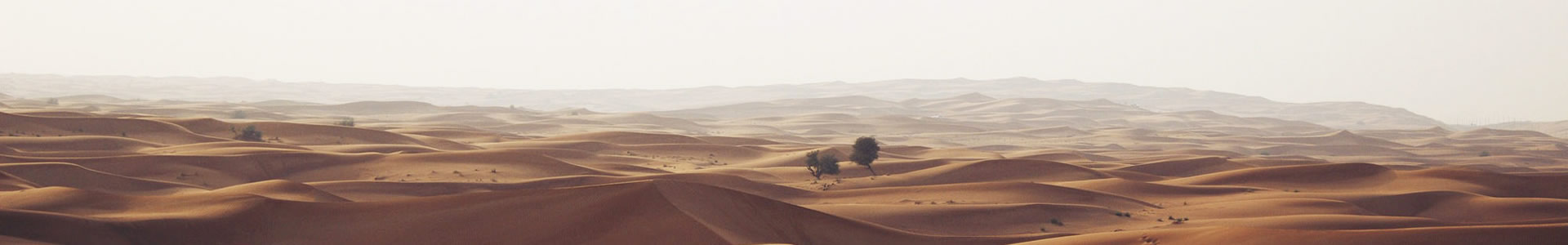 вƼ޹˾